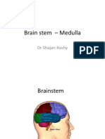 Brain Stem - Medulla PDF