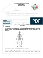 Guia 3° Educación Física