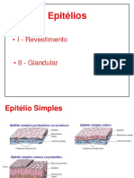 Aula 02 Epitélios - 2 PDF