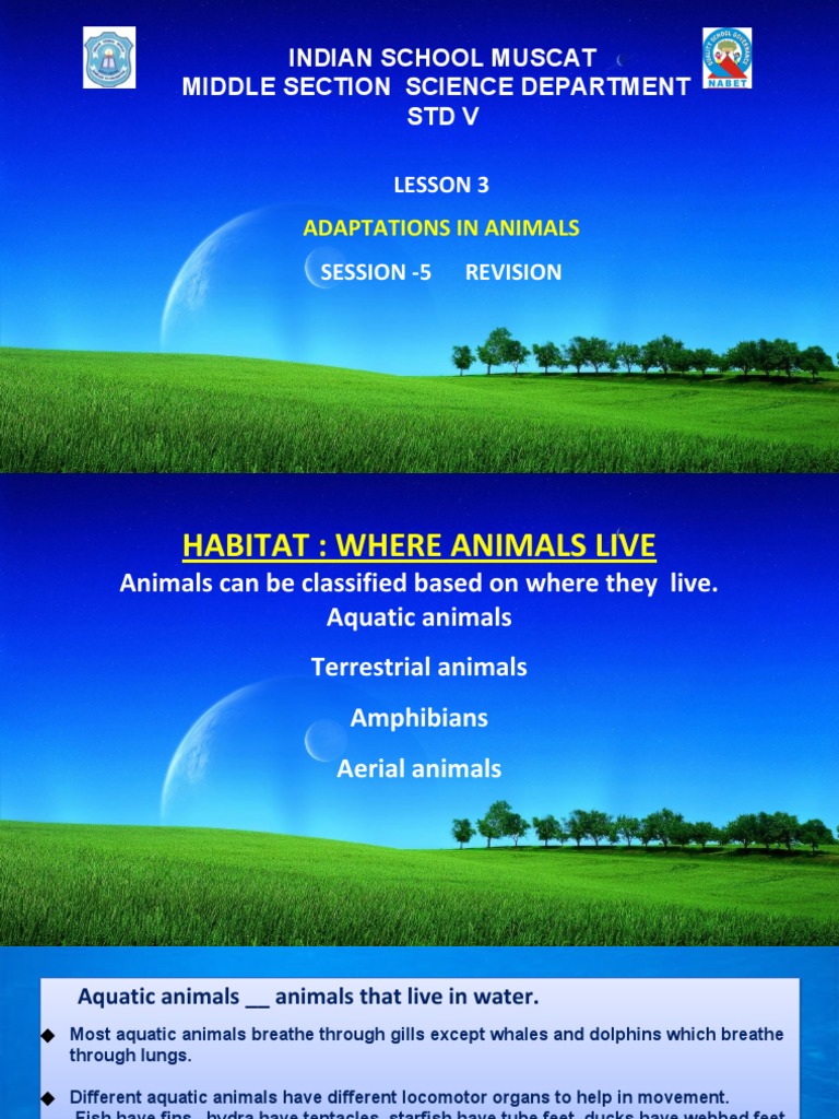 Animal Adaptations and Habitats Overview | PDF | Amphibian | Feather