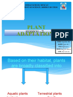 Aquatic Plant Adaptations