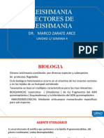 Leishmania Vectores de Leishmania: Dr. Marco Zarate Arce