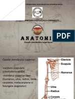 curs_5_anatomie