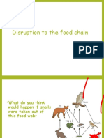 Disruption To The Food Chain