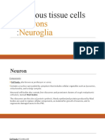 Nervous Tissue Cells::: Neurons Neuroglia