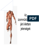 Izomműködés Szuper Anyag PDF