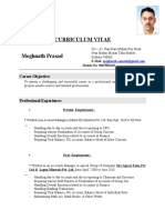 Curriculum Vitae: Meghnath Prasad