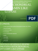Mitochondrial Dynamin Like GTPase