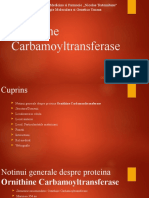 Ornithine Carbamoyltransferase