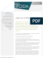 Matriz_foda.pdf