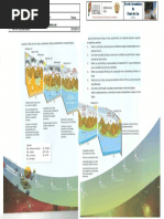 Ficha Formativa - como evoluiu a vida