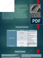 Laboratorio Bioprocesos-2