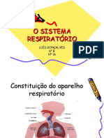 sistemarespiratorioluis-1232571580243813-3