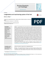 Longitudinal Arch System of The Foot