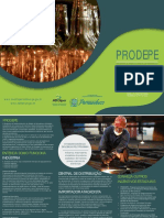 Folder Prodepe