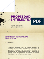 Propiedad Intelectual - SIGNOS DISTINTIVOS