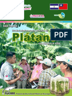 Guía-Técnica1-de-PLATANO-INTA-2019-Web.pdf