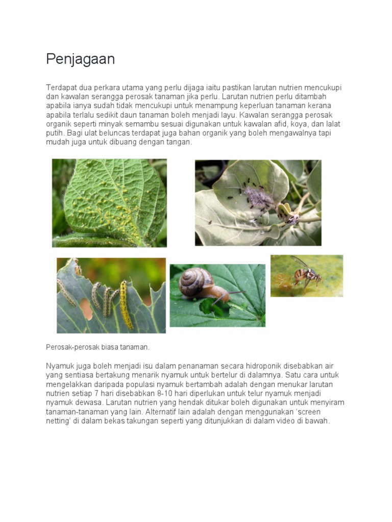 Sqwq3 Pdf