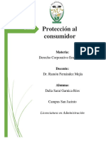 Ensayo Protección Al Consumidor PDF