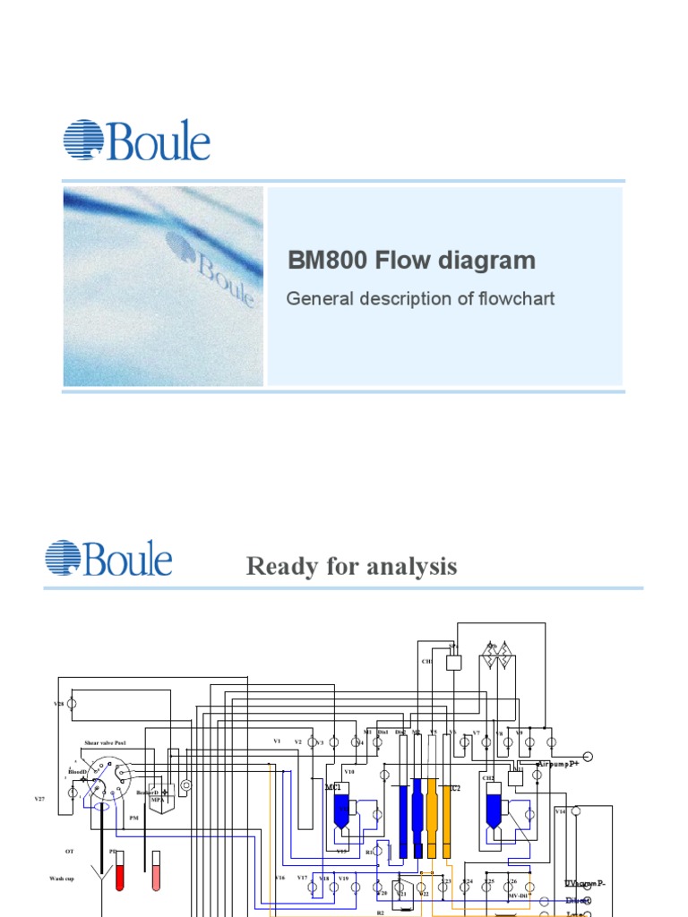 BM800 Flow Diagram: General Description of Flowchart | PDF | Visual ...