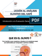 Introduccion al analisis Olfativo del cafe virtual CLASE 2