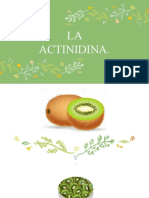 LA ACTINIDINA (2).pptx
