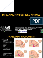 7 Cardinal Movements