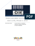 nota_tecnica_2019-2_Indicadores_Socio_PNADC_2018.pdf