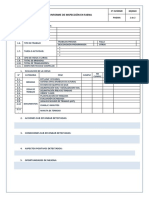 Formato Inspeccion de Faenas