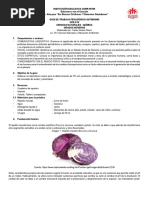 Guia de Laboratorio Indicador de P H Repollo Morado | PDF | Ácido | Sal ...