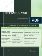 FENOMENOLOGIA