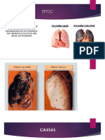 Sistema Respiratorio y Digestivo PDF