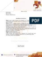Gordis PDF