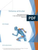 Sistema Articular