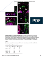 TSG-6 Regulates Bone Remodeling Through Inhibition of Osteoblastogenesis and Osteoclast Activation (Dragged) 16