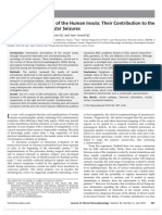 insula 4.pdf