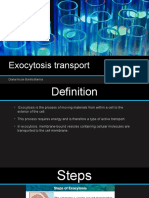 Exocytosis Transport: Diana Nicole Bonilla Barrios