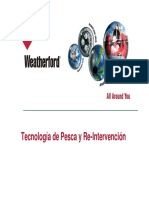 operacionesdepescayre-intervencion-141204182907-conversion-gate01.pdf