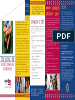 Folleto Lectura Adolescent PDF