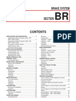 BR.pdf