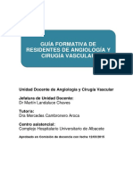 GUIA FORMACION DE RESIDENTES Cirugia - Vascular