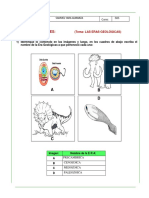 Samuel Yara Almanza 606 Las Eras Geologicas PDF