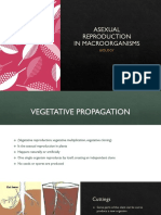 3. ASEXUAL REPRODUCTION MACRO.pdf