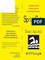 4 Sprintsalo PDF