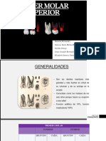Molares PDF