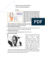 Klasifikasi Filum Invertebrata