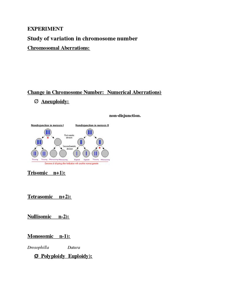 Bot Practical 10 Variation in Chromosome Number | PDF | Ploidy | Chromosome