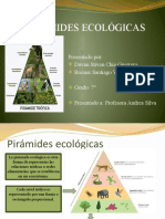 Piramides Ecologicas