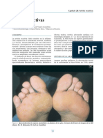 Cap 28 Artritis Reactivas PDF