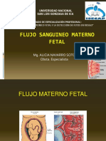 Flujo Sanguineo Materno Fetal PDF